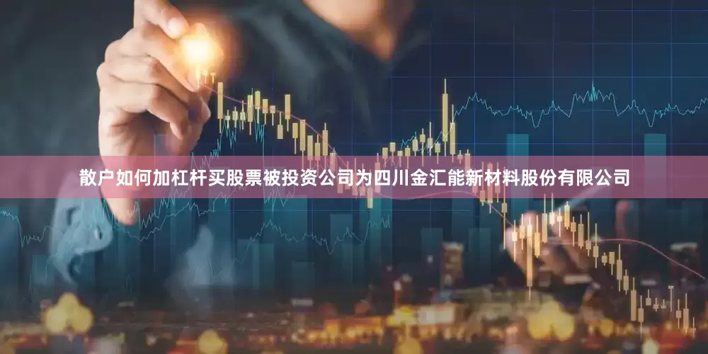 散户如何加杠杆买股票被投资公司为四川金汇能新材料股份有限公司