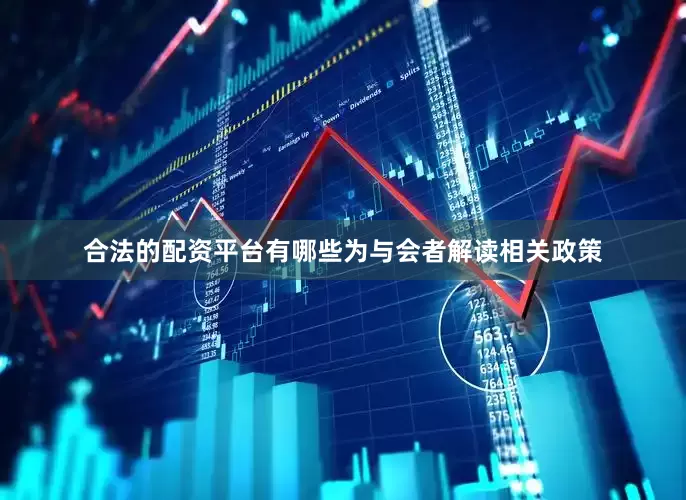 合法的配资平台有哪些为与会者解读相关政策