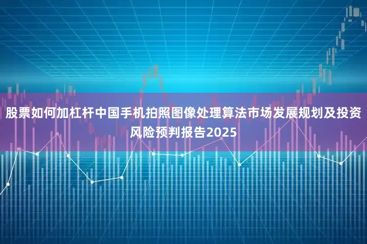 股票如何加杠杆中国手机拍照图像处理算法市场发展规划及投资风险预判报告2025