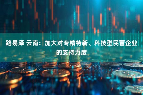路易泽 云南：加大对专精特新、科技型民营企业的支持力度