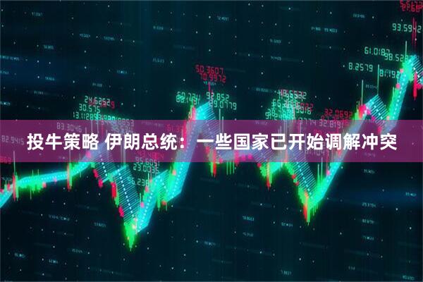 投牛策略 伊朗总统：一些国家已开始调解冲突