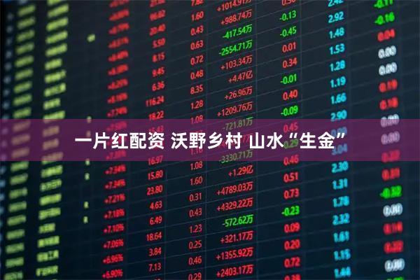 一片红配资 沃野乡村 山水“生金”