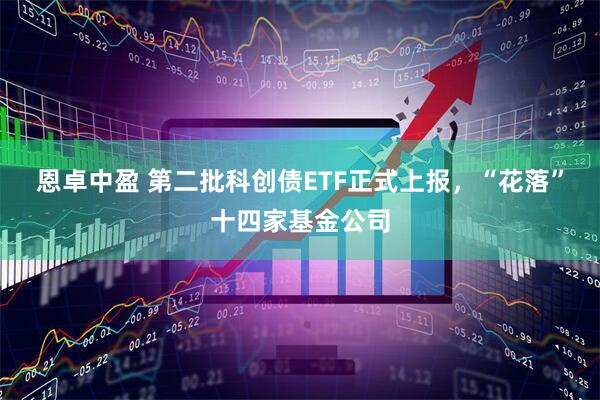 恩卓中盈 第二批科创债ETF正式上报,“花落”十四家基金公司