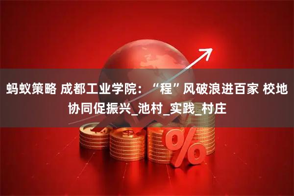 蚂蚁策略 成都工业学院：“程”风破浪进百家 校地协同促振兴_池村_实践_村庄